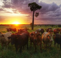 Myella Farm Stay - Tourism Townsville