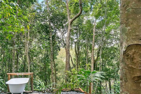 Wanggulay Treetops Cairns City - Tourism Townsville 7