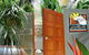 Wanggulay Treetops Cairns City - thumb 0