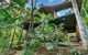 Wanggulay Treetops Cairns City - thumb 3