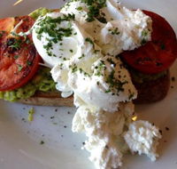 Monkey Can Fly Cafe - Tourism Townsville