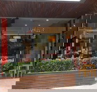 Walrus - Japanese - Tourism Townsville