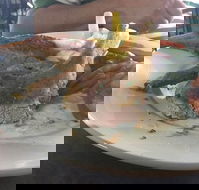 Newmarket Hotel - Tourism Townsville