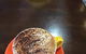 Deli Delicious - thumb 0