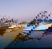 Clarence River Fishermen's Co-Operative - Tourism Townsville