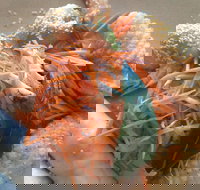 On Shore - Tourism Townsville