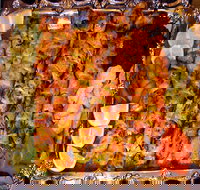 Charcoal Fire Indian and Persian Restaurant - Tourism Townsville