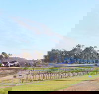 Blacklea Vineyard and Olive Grove - Tourism Townsville