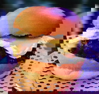 Chur Burger - Mount Druitt - Tourism Townsville