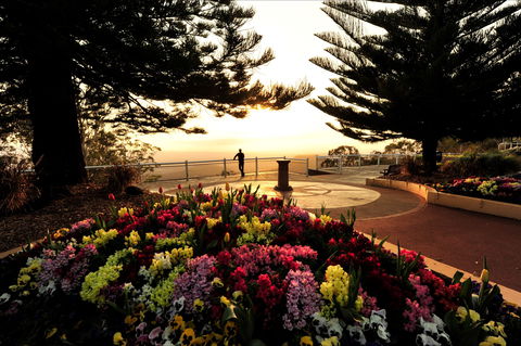 Picnic Point Cafe And Restaurant - Tourism Townsville 0