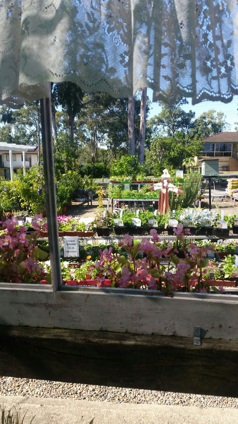 Florrey Bel Coffee Shed - Tourism Townsville 5