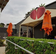 Green Valley Strawberries - Tourism Townsville