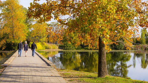 Crowne Plaza Canberra - Tourism Townsville 17