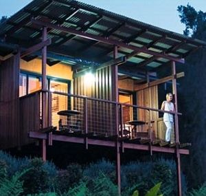 O'Reilly's Rainforest Guesthouse - Tourism Townsville 1