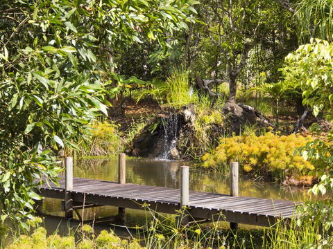 Cedar Park Rainforest Resort - Tourism Townsville 0