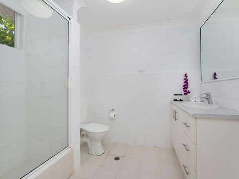 Cairns City Palms - Tourism Townsville 1