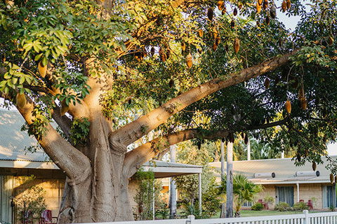 Kimberley Grande Resort & Conf Ctr - Tourism Townsville 0
