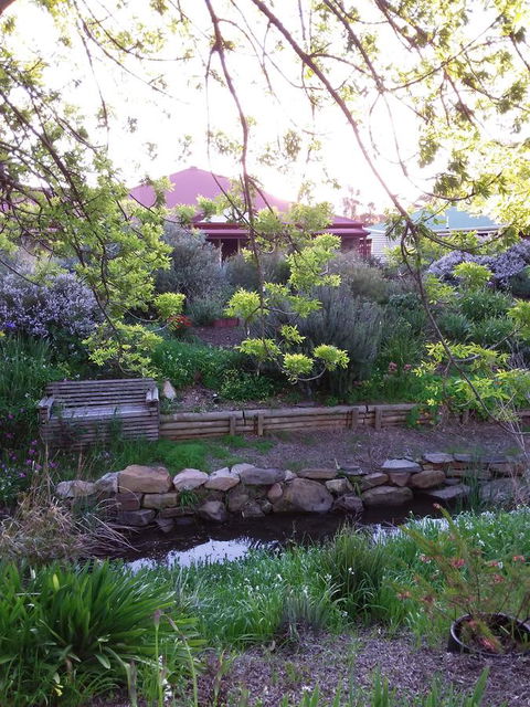 Frog Song At Willunga - Tourism Townsville 0