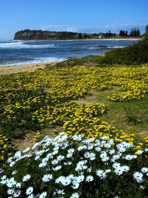 Serenity On Narrabeen Beach - 1Bdr Beachside Retreat - Tourism Townsville 10
