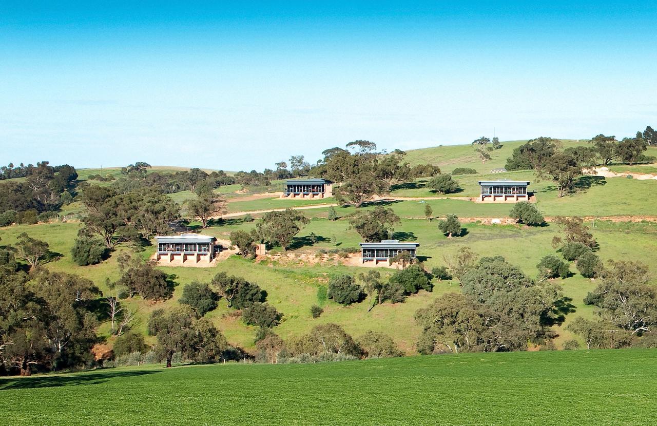 Lyndoch SA Tourism Townsville