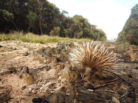 Kangaroo Island Wilderness Retreat - Tourism Townsville 20