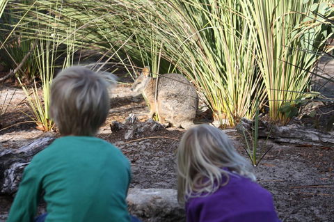 Kangaroo Island Wilderness Retreat - Tourism Townsville 30