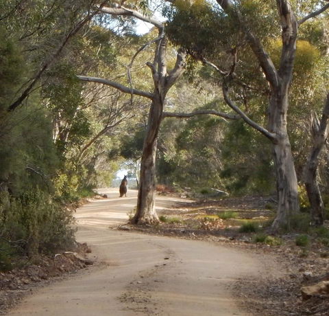 Kangaroo Island Wilderness Retreat - Tourism Townsville 22
