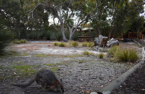 Kangaroo Island Wilderness Retreat - Tourism Townsville 1