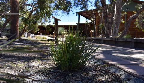 Kangaroo Island Wilderness Retreat - Tourism Townsville 21