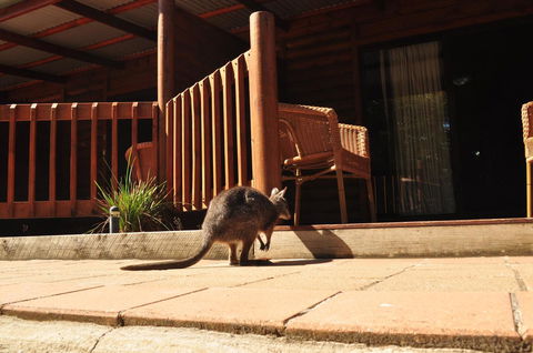 Kangaroo Island Wilderness Retreat - Tourism Townsville 9