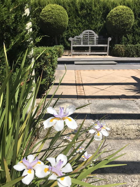 S T U D I O 22 Peaceful Retreat With Garden Views - Tourism Townsville 13