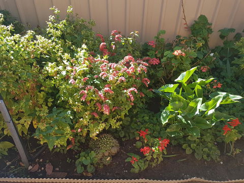 Tanunda\'s Magpie House - Tourism Townsville 24