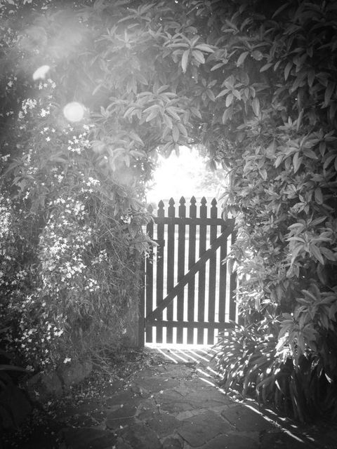 Haven Cottage Kangaroo Island - Tourism Townsville 33