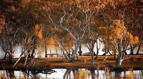 Riverview Rise Retreats - Tourism Townsville 4