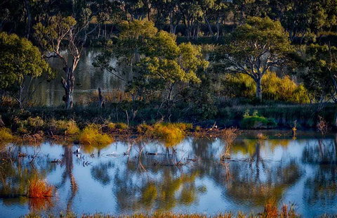 Riverview Rise Retreats - Tourism Townsville 7