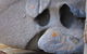 Admirals Inn - thumb 40