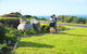 Kangaroo Island Seaside Inn - thumb 11