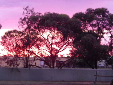 Wudinna Gawler Ranges Motel And Caravan Park - Tourism Townsville 11
