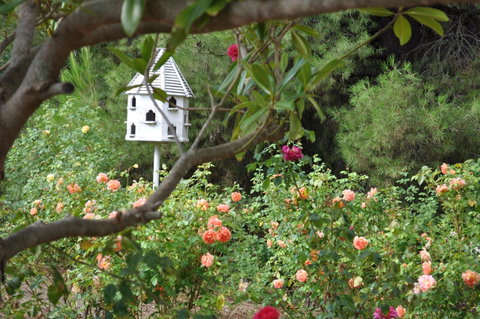 The Lyndoch Motel - Tourism Townsville 2