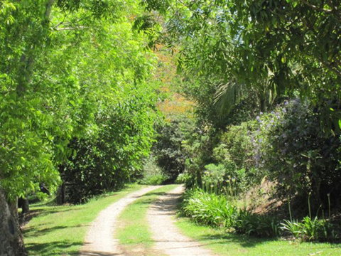SummerHills Retreat Byron Bay - Tourism Townsville 33