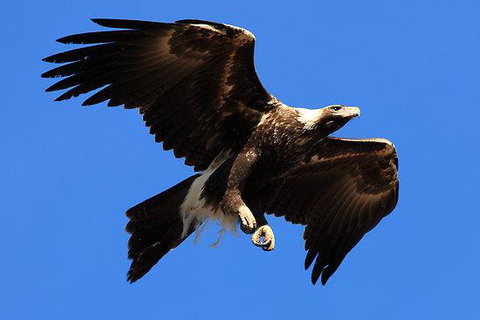 Eagles Range - Tourism Townsville 16