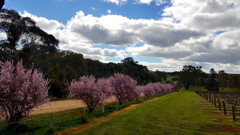 D2 At Watervale - Tourism Townsville 22