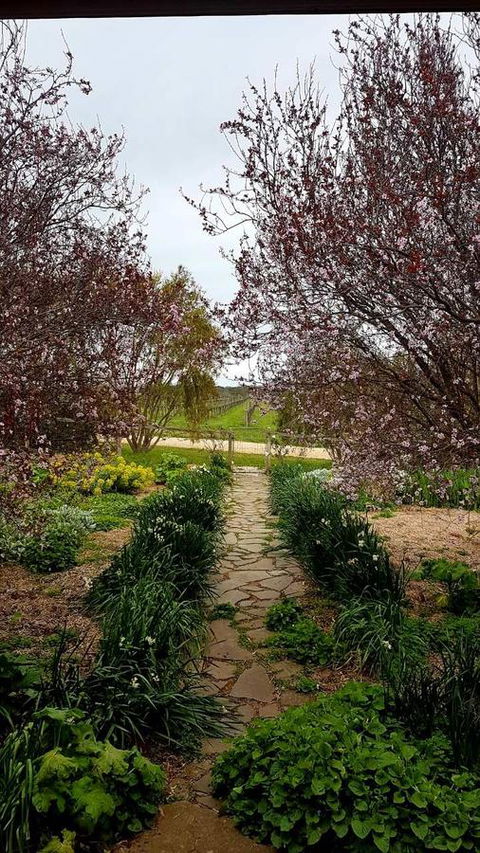 D2 At Watervale - Tourism Townsville 4