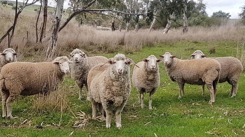 D2 At Watervale - Tourism Townsville 24