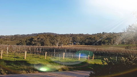 D2 At Watervale - Tourism Townsville 23