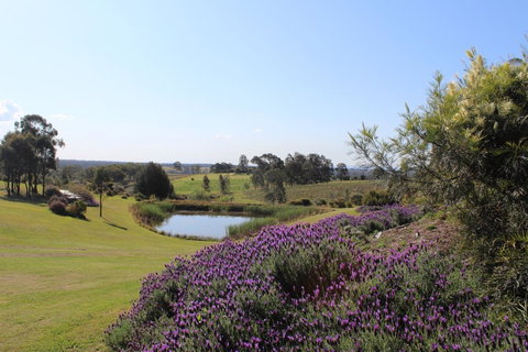 Beltana Villas - Tourism Townsville 7