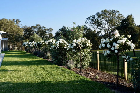 Beltana Villas - Tourism Townsville 2