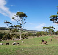 Lisieux Farm Bed and Breakfast - Tourism Townsville