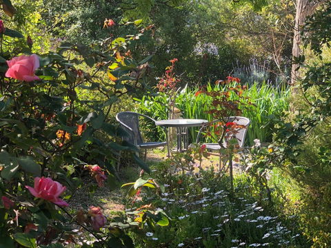 Treasured Memories Cottage - Tourism Townsville 17