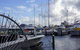 Oceanside 23 - thumb 24